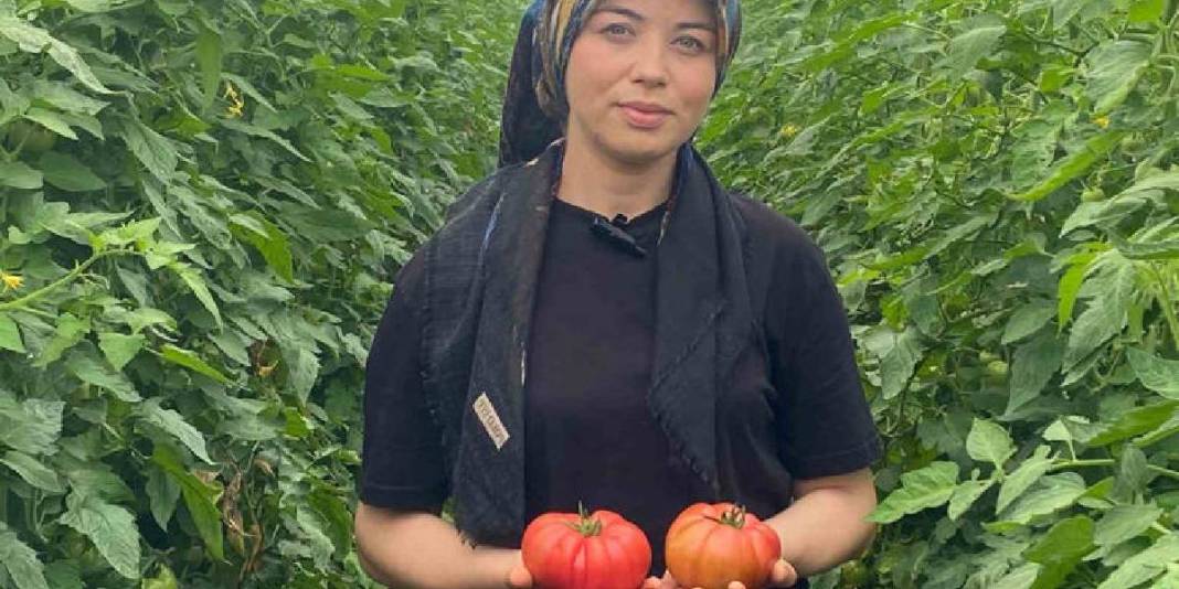 Üretimde aktif kadın eli! 550.000 ton ürün bekleniyor 7